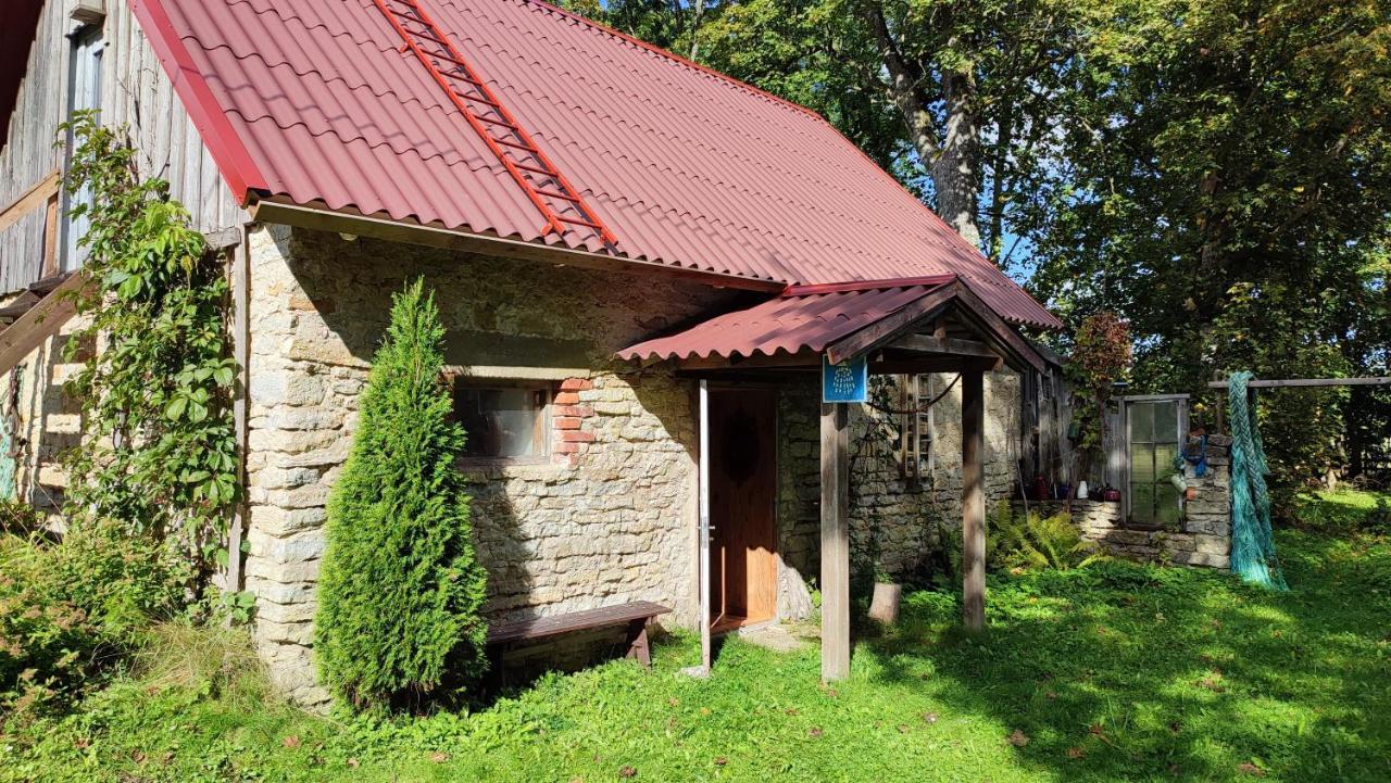 Viini Puhkemaja Guest House Mustjala Exterior photo