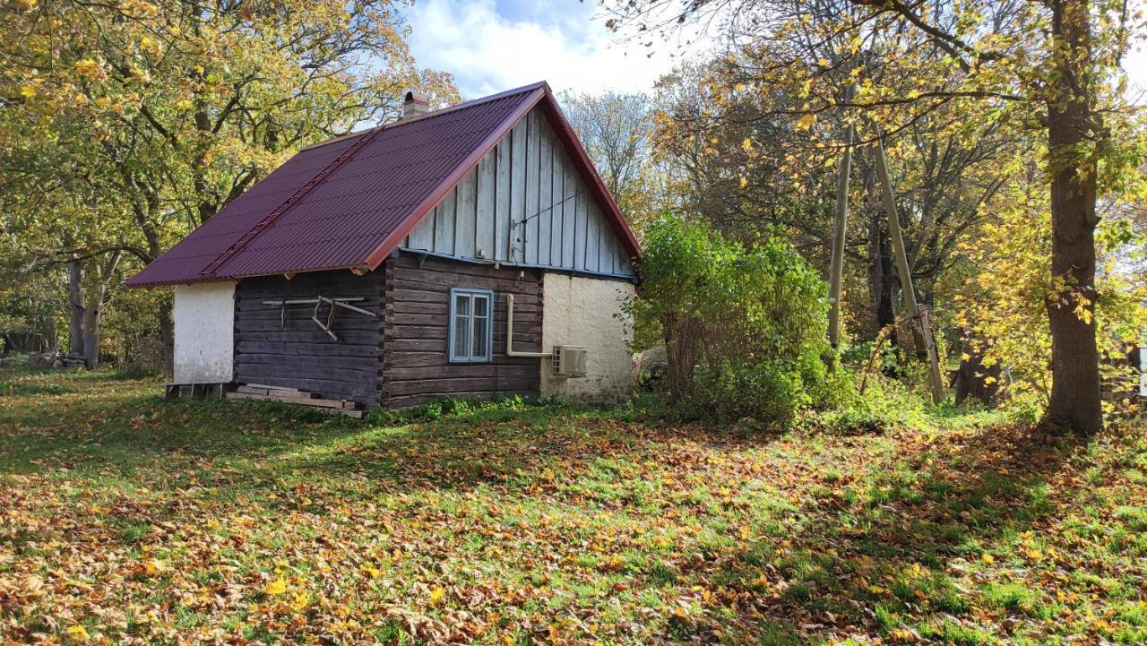 Viini Puhkemaja Guest House Mustjala Exterior photo