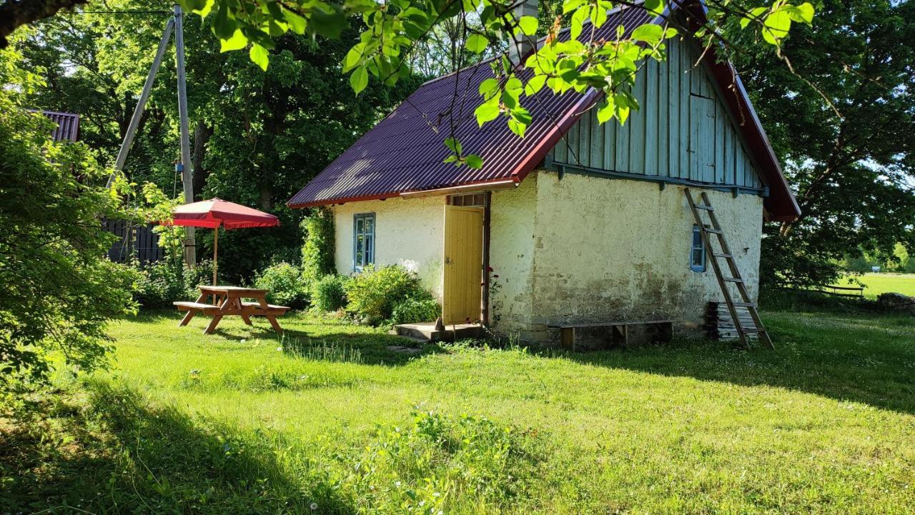 Viini Puhkemaja Guest House Mustjala Exterior photo