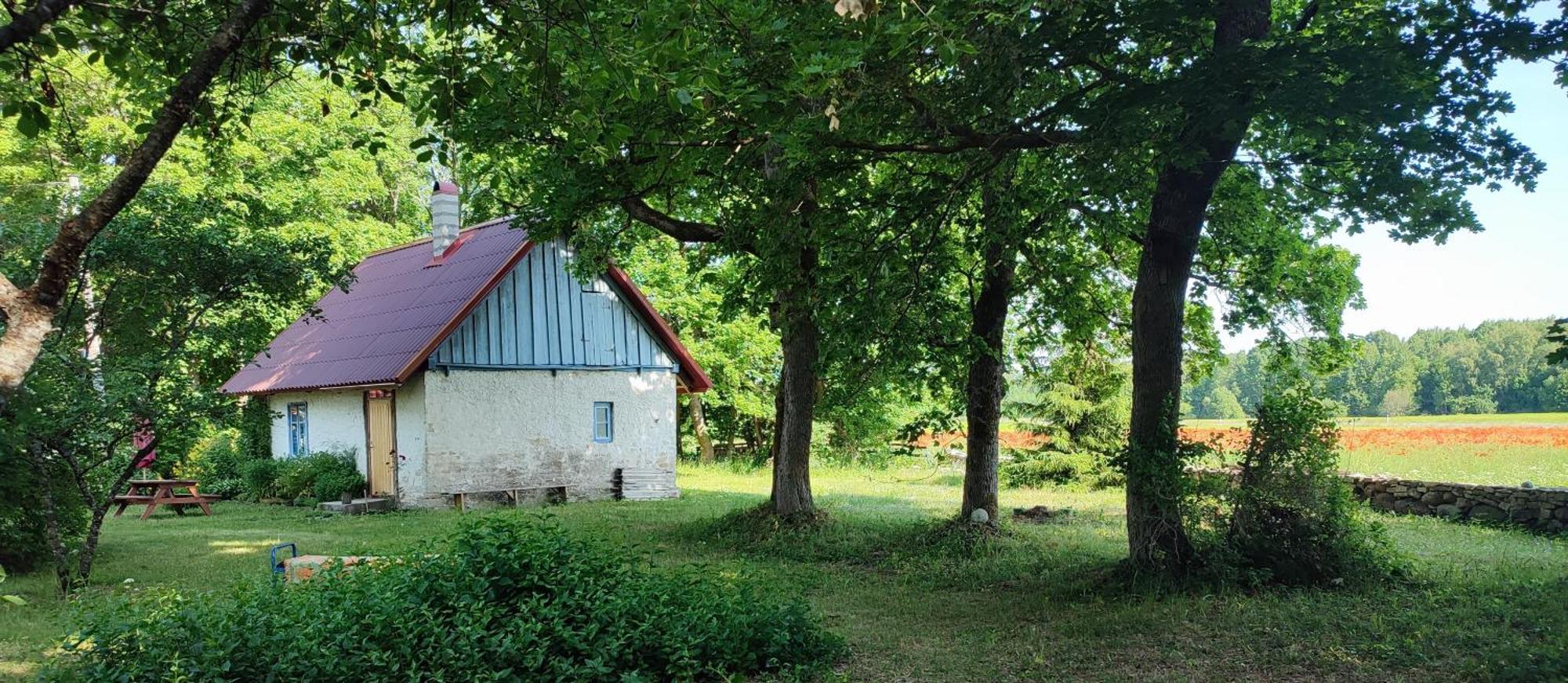 Viini Puhkemaja Guest House Mustjala Exterior photo